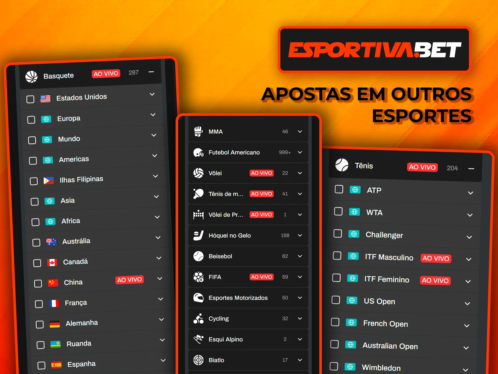 Descubra o mundo das apostas em outros desportos na EsportivaBet.